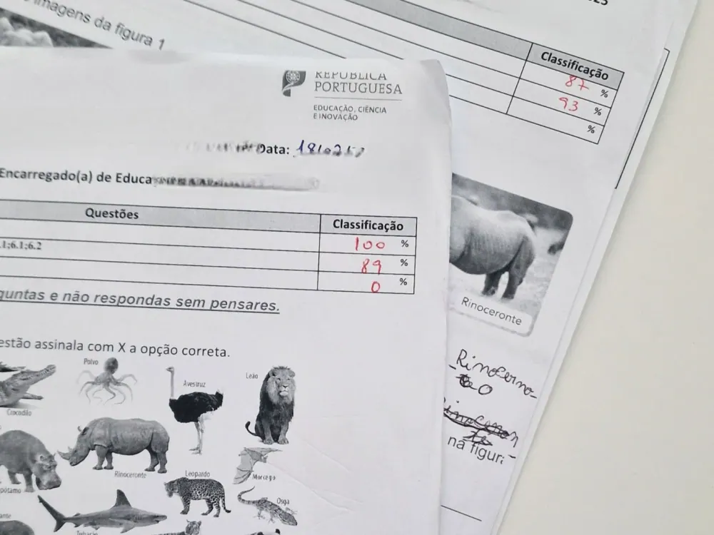 Fichas de trabalho corrigidas sobre a mesa de estudo